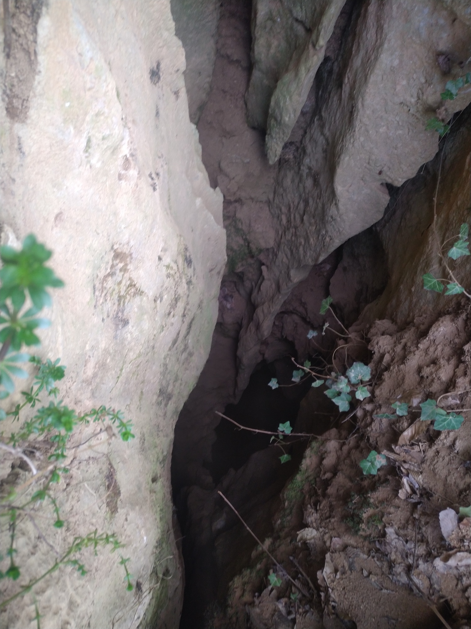 Avenul din Curba - Image 2